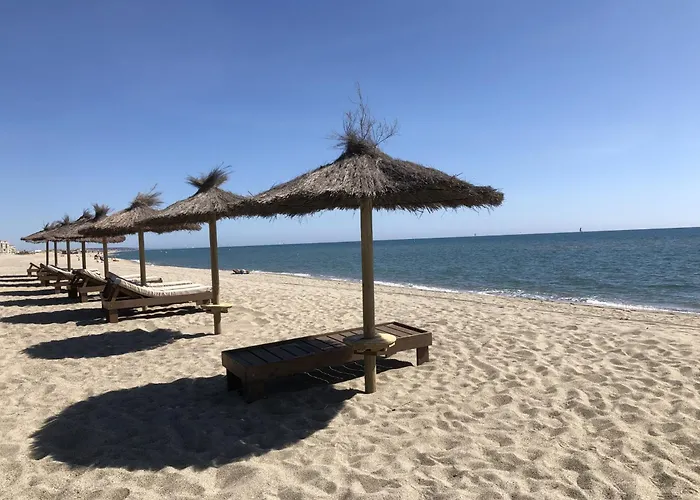 Apartment Spacieux T2 Pour 4p Avec Terrasse, Parking Prive A 400m De La Plage, Quartier Anime, Animaux Ok - Fr-1-799-9 *