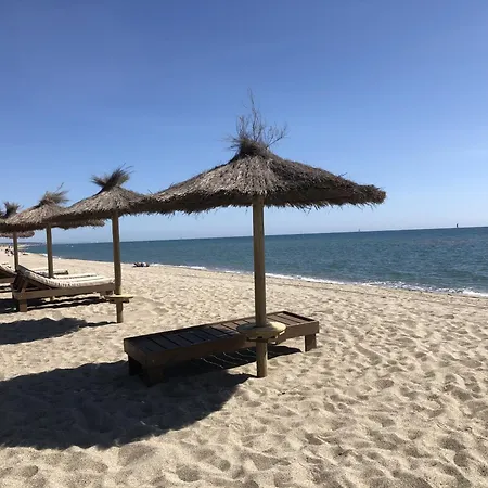 Appartamento Spacieux T2 Pour 4p Avec Terrasse, Parking Privé à 400m De La Plage, Quartier Animé, Animaux Ok - Fr-1-799-9 *