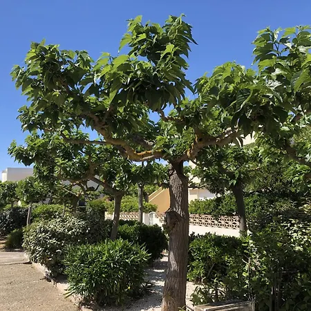 Spacieux T2 Pour 4p Avec Terrasse, Parking Privé à 400m De La Plage, Quartier Animé, Animaux Ok - Fr-1-799-9 Appartement Le Barcarès