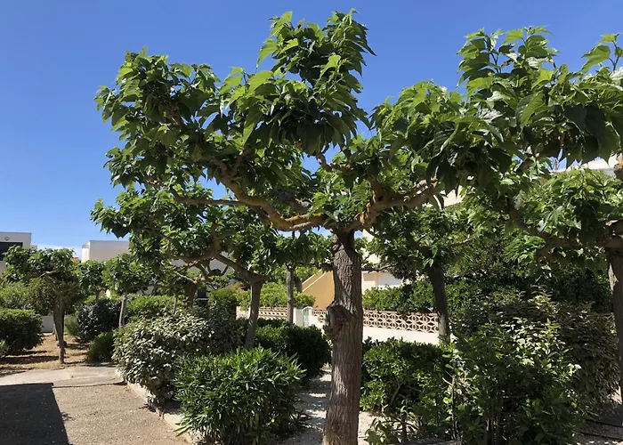 Spacieux T2 Pour 4p Avec Terrasse, Parking Prive A 400m De La Plage, Quartier Anime, Animaux Ok - Fr-1-799-9 Διαμέρισμα Le Barcarès